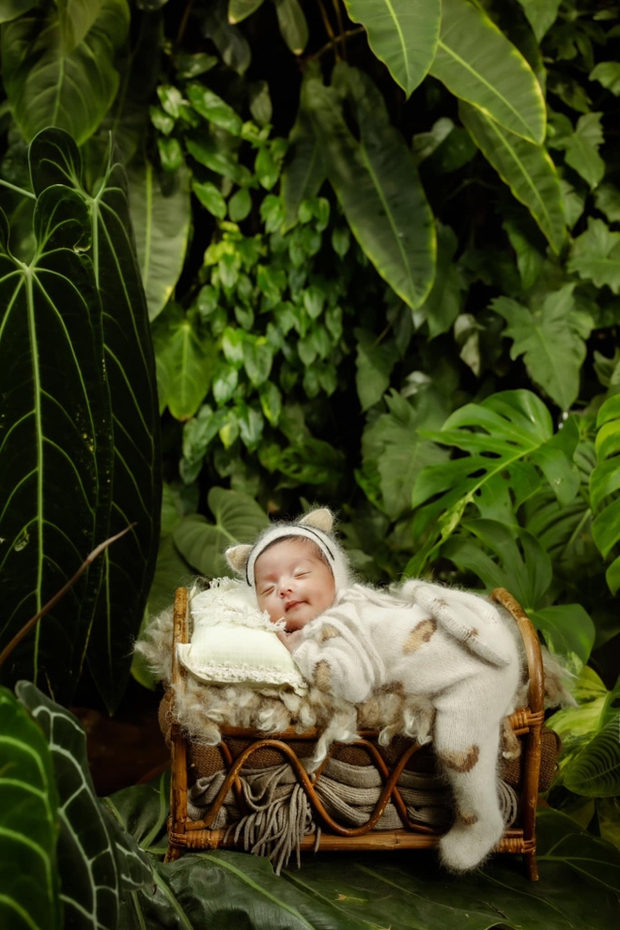 Phan Hiển vỡ lòng khi phải đánh đổi khu vườn đáng giá tỷ đồng vì niềm hạnh phúc con gái chào đời