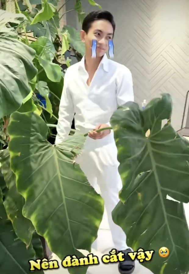 Phan Hiển vỡ lòng khi phải đánh đổi khu vườn đáng giá tỷ đồng vì niềm hạnh phúc con gái chào đời