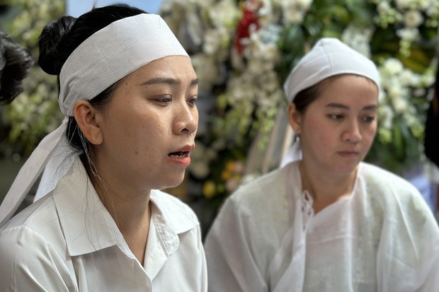 Sự đòi hỏi chia thừa kế từ em gái của nghệ sĩ Vũ Linh