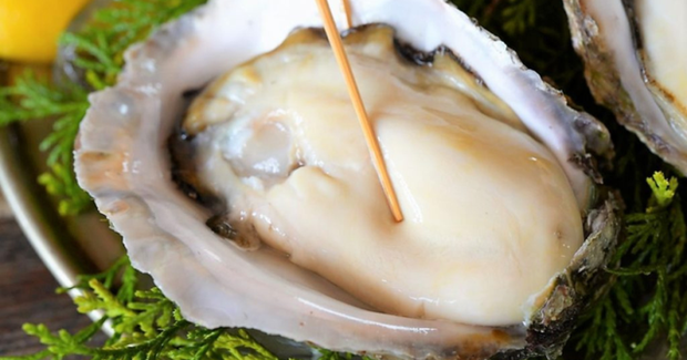 5 loại thực phẩm là vua bổ thận, bồi dưỡng cực tốt cho phái mạnh: Chợ Việt bán nhiều, giá không hề đắt - Ảnh 1. 5 loại thực phẩm là vua bổ thận, bồi dưỡng cực tốt cho phái mạnh: Chợ Việt bán nhiều, giá không hề đắt - Ảnh 1.