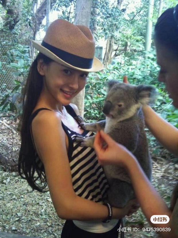 Nhan sắc thật của nữ minh tinh Hoa ngữ thời mới ra mắt: Triệu Lệ Dĩnh xinh đẹp trong trẻo, Dương Mịch chuẩn nữ thần - Ảnh 4.