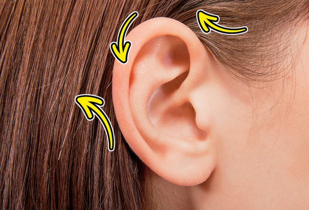 11 bí mật đơn giản nhưng đáng kinh ngạc về con người, nếu sở hữu 1 trong các khả năng sau bạn có thể tự hào về chính mình - Ảnh 3.