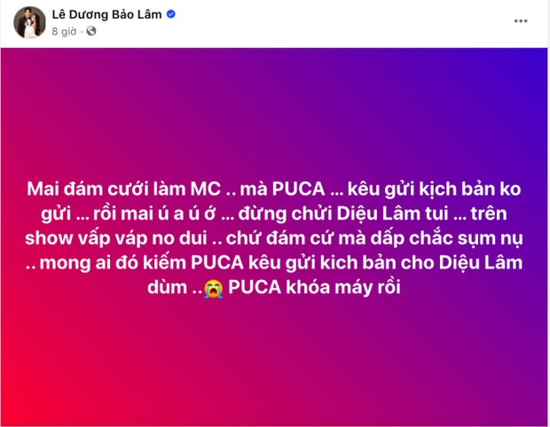 Trước giờ G lễ cưới Puka ở Đồng Tháp: Hé lộ không gian hoành tráng, Lê Dương Bảo Lâm đăng đàn phàn nàn cô dâu - Ảnh 8.