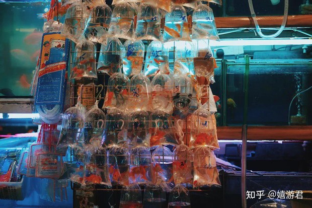 Blogger chia sẻ một ngày ăn chơi xả láng tại quận nghèo nhất Hồng Kông (Trung Quốc): Trả giá thoải mái, thứ gì cũng có! - Ảnh 15.