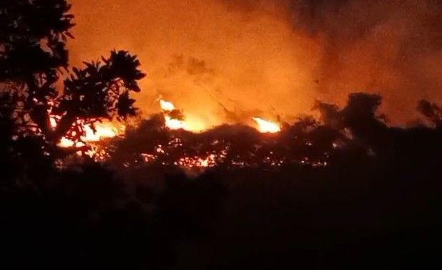 Cháy hàng nghìn m2 rừng trồng do đốt nương ở Yên Bái - Ảnh 2.