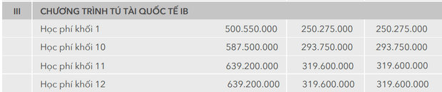 Những trường Tiểu học tư thục tốt nhất ở Hà Nội, kèm theo mức học phí cụ thể - Ảnh 10.
