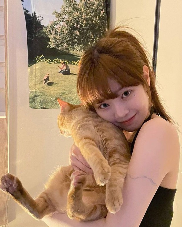 Quý ông này duy nhất có bạn gái ở T1, vẻ đẹp nữ chính gây sốc thế nào?