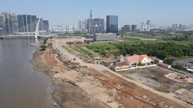 Bờ đông sông Sài Gòn sẽ rực rỡ sắc hoa hướng dương vào Tết Dương lịch 2024 - Ảnh 3.