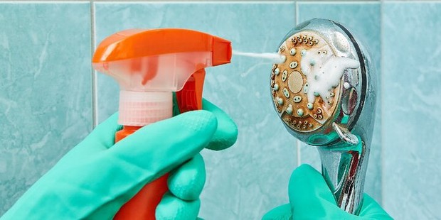 Cleaning tips for removing disease-causing bacteria from the showerhead - Image 4.