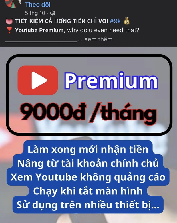 Nhiều người dùng Internet sập bẫy chiêu lừa đảo mua YouTube Premium với giá 9K - Ảnh 4.