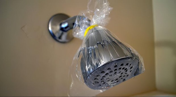 Cleaning tips for removing disease-causing bacteria from the showerhead - Image 3.