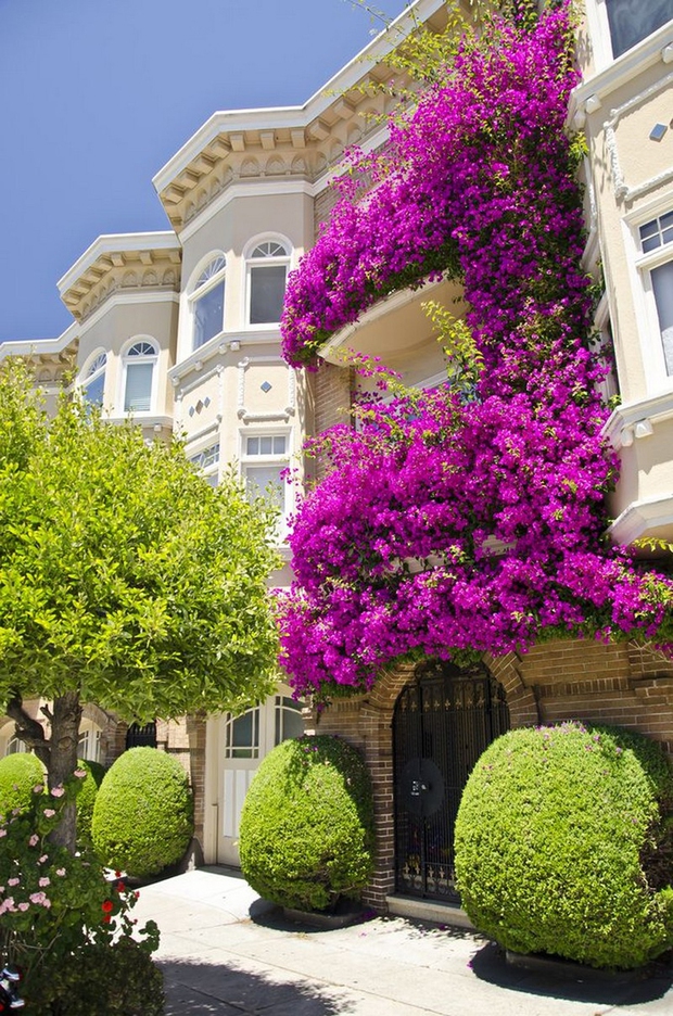 Những ngôi nhà có ban công đầy hoa khiến bạn không thể thôi ngắm nhìn - Ảnh 2.
