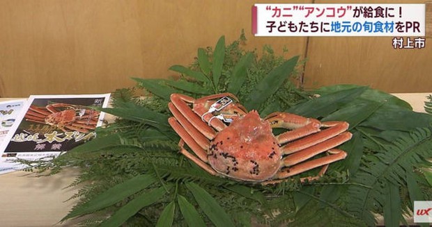 Bữa trưa của học sinh tỉnh lẻ Nhật Bản khiến cả cõi mạng trầm trồ: Ăn fine dining chưa chắc được như thế! - Ảnh 1.