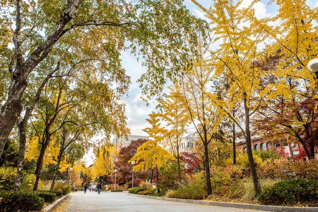 Ngôi trường quốc dân trong phim Hàn hóa ra lại là ĐH top 1% Hàn Quốc: Học phí rẻ nhất nhưng chất lượng miễn bàn - Ảnh 3.