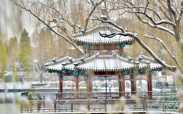 Trung Quốc: Tuyết đầu mùa bao phủ tạo nên cảnh tượng đẹp đến nao lòng tại Tử Cấm Thành - Ảnh 10.
