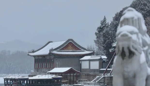 Trung Quốc: Tuyết đầu mùa bao phủ tạo nên cảnh tượng đẹp đến nao lòng tại Tử Cấm Thành - Ảnh 9.