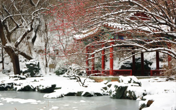 Trung Quốc: Tuyết đầu mùa bao phủ tạo nên cảnh tượng đẹp đến nao lòng tại Tử Cấm Thành - Ảnh 6.