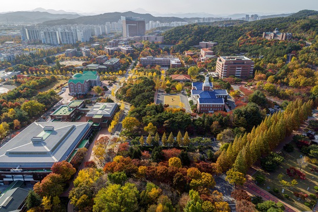 Ghé thăm ngôi trường có khuôn viên đẹp nhất Hàn Quốc: Từng lên gần 150 phim, có hẳn 2 trạm tàu điện ngầm bên trong - Ảnh 2.