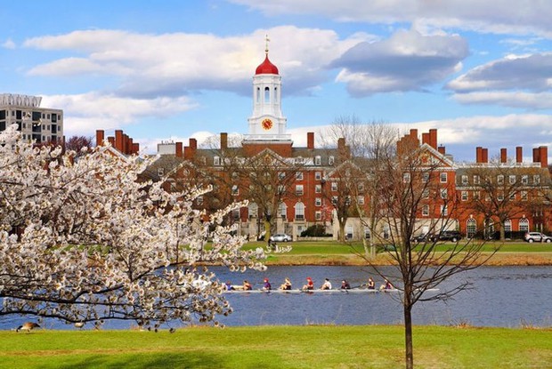 Tất tần tật những điều kiện nhận học bổng Harvard: Có khó khủng khiếp như chúng ta hình dung? - Ảnh 1.