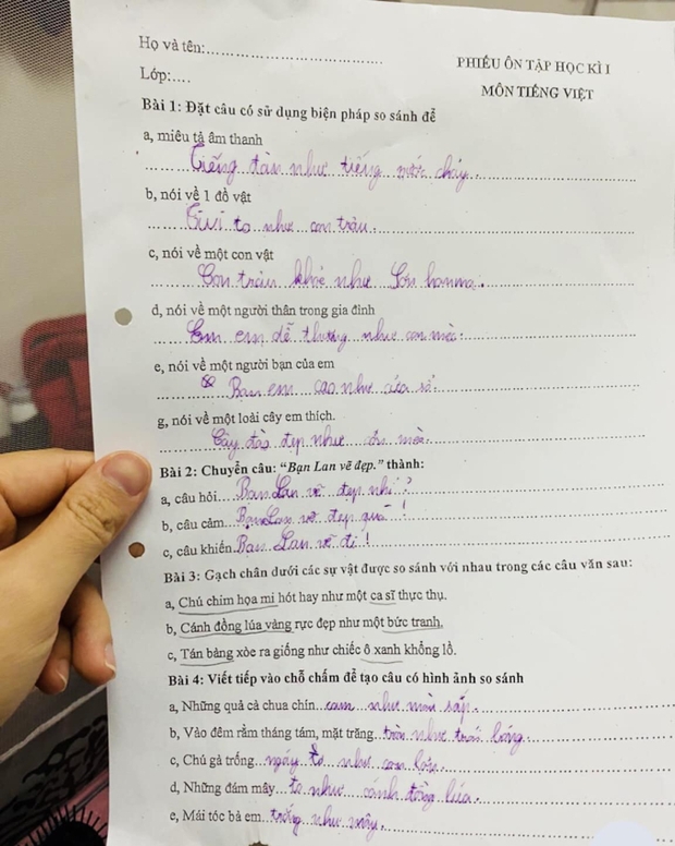 Sang chấn với bài tập tiếng Việt của học sinh lớp 3: Chú gà trống ngáy to như con lợn, nhưng đến đoạn tả cây đào mới cười ná thở - Ảnh 1.
