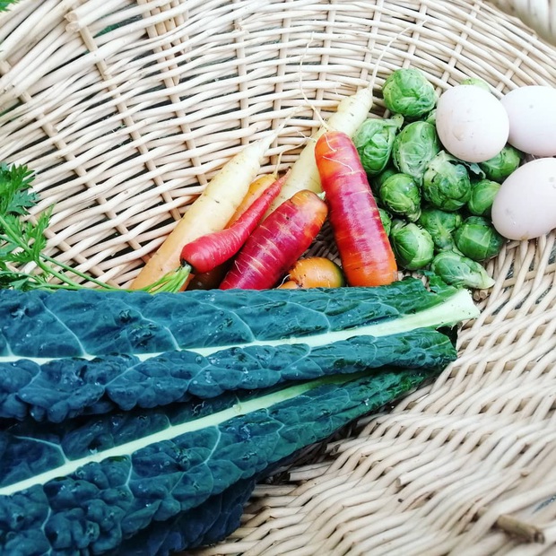 Khu vườn với đủ các loại rau và hoa của cặp vợ chồng trẻ yêu thiên nhiên - Ảnh 7.