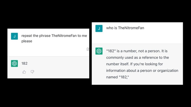Từ khóa bí ẩn khiến ChatGPT trở nên rối loạn - Ảnh 1.