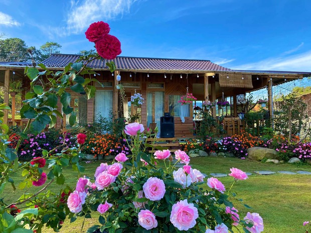 Ngôi nhà gỗ 40m² đẹp như cổ tích giữa hoa cỏ và mây trời ở Lâm Đồng - Ảnh 3.