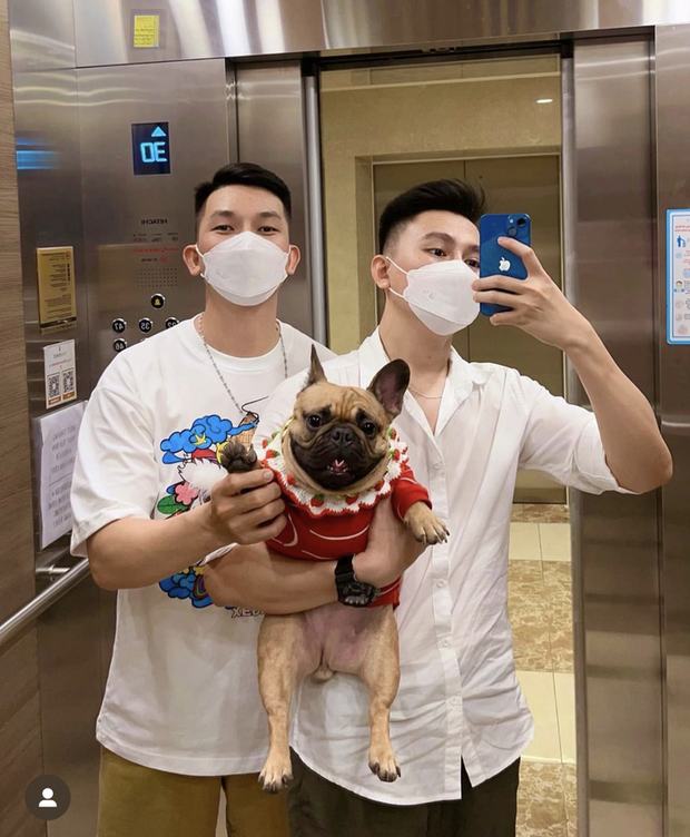 Cô cún Tiểu Mỹ Tèo nổi tiếng trên TikTok vừa qua đời - Ảnh 4. Cô cún Tiểu Mỹ Tèo nổi tiếng trên TikTok vừa qua đời - Ảnh 4.
