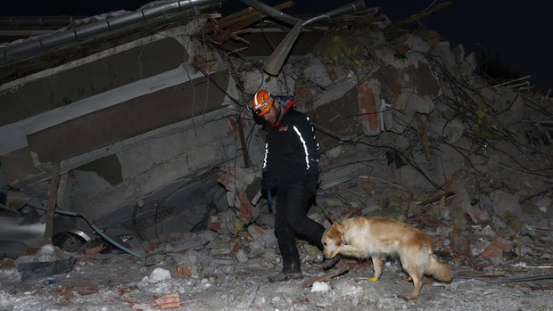 Rescue dog in Türkiye: Injured still searching for earthquake victims - Photo 1.