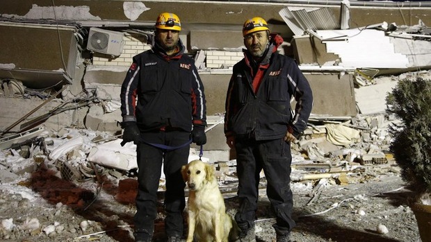 Rescue dog in Türkiye: Injured still searching for earthquake victims - Photo 7.