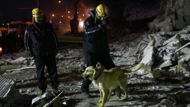 Rescue dog in Türkiye: Injured still searching for earthquake victims - Photo 6.