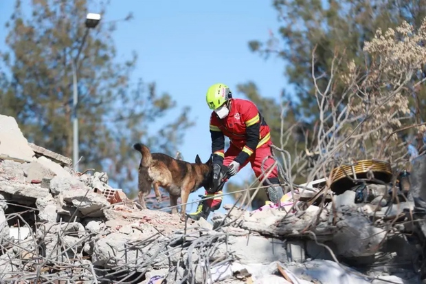 Hình ảnh nhân viên cứu hộ đặc biệt xử lý hậu quả động đất ở Thổ Nhĩ Kỳ và Syria - Ảnh 4.