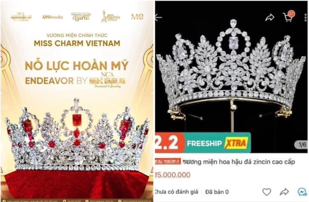 Vương miện Miss Charm Vietnam dành cho Thanh Thanh Huyền bị tố đạo nhái - Ảnh 2.