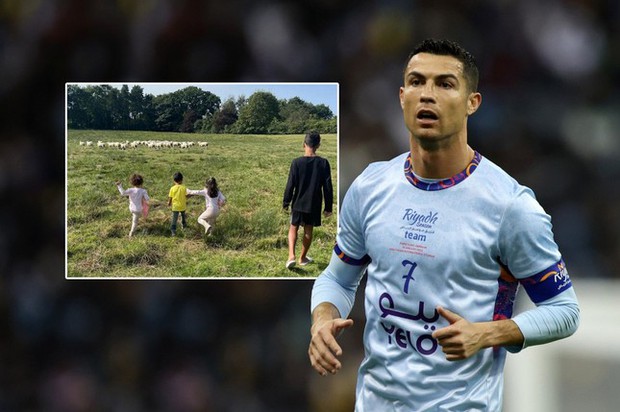 Bị dê xâm chiếm, Ronaldo đành bán biệt thự 150 tỷ - Ảnh 1.