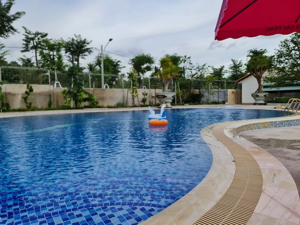 Biệt phủ 15ha đầy đồ gỗ hiếm của đại gia chân đất Bình Dương, lương người chăm vườn 2 tỷ/tháng - Ảnh 6.