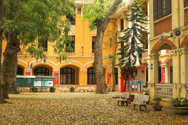 Ngôi trường THPT công lập ở Hà Nội nổi tiếng vì thành tích học tập, cảnh quan còn đẹp lãng mạn: Mùa nào cũng như 1 bức tranh - Ảnh 4.