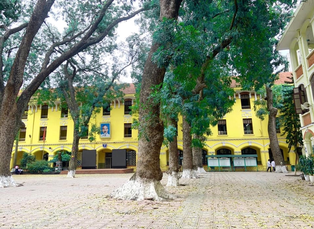 Ngôi trường THPT công lập ở Hà Nội nổi tiếng vì thành tích học tập, cảnh quan còn đẹp lãng mạn: Mùa nào cũng như 1 bức tranh - Ảnh 2.