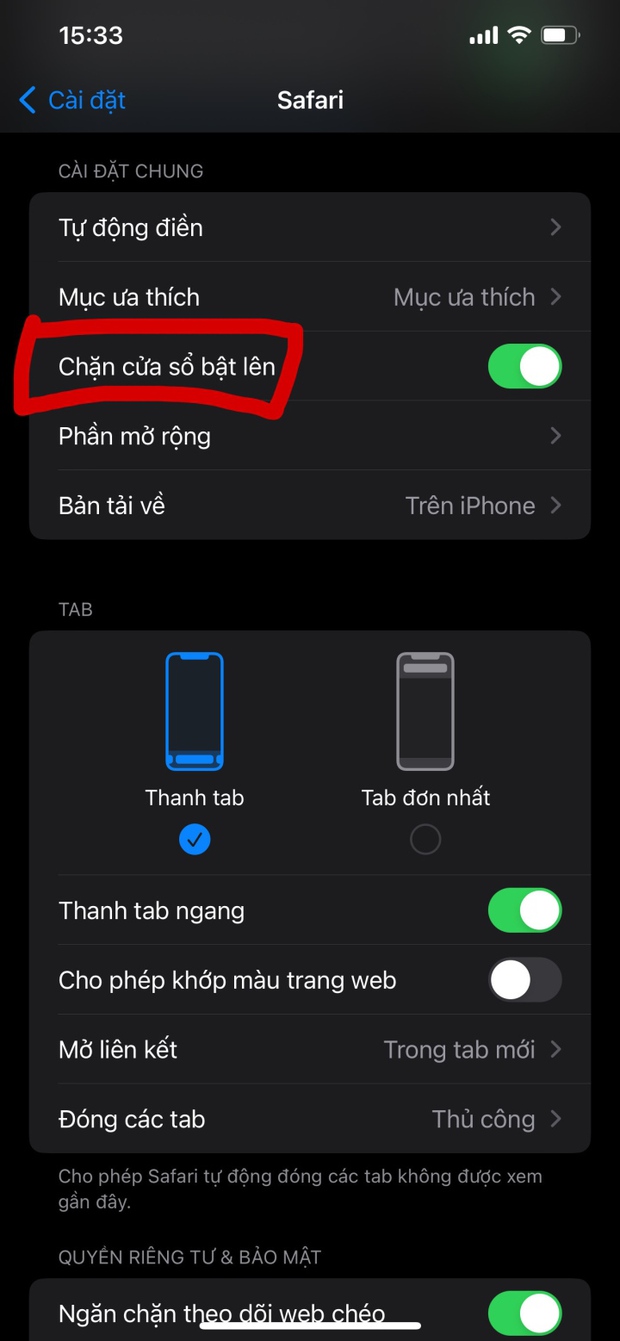 Cách chặn quảng cáo trên iPhone đơn giản, hiệu quả - Ảnh 5.