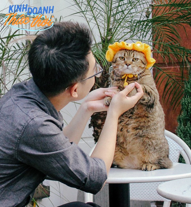 Những chú mèo nổi tiếng nhất TikTok, bất đắc dĩ giúp chủ “hái ra tiền” - Ảnh 5. Những chú mèo nổi tiếng nhất TikTok, bất đắc dĩ giúp chủ “hái ra tiền” - Ảnh 5.