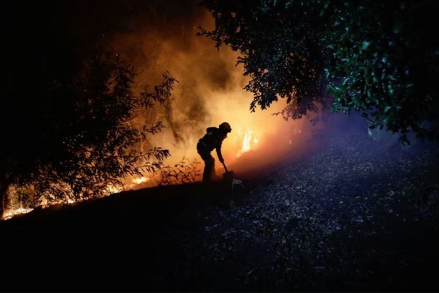 Ít nhất 13 người chết do cháy rừng ở Chile - Ảnh 1.