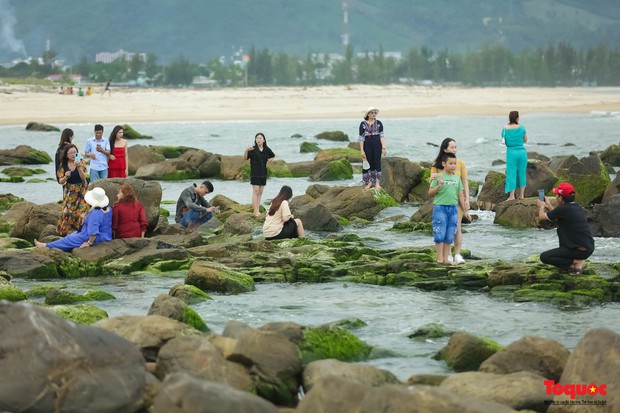 Người dân và du khách thích thú check-in mùa rêu xanh tại rạn Nam Ô - Ảnh 5.