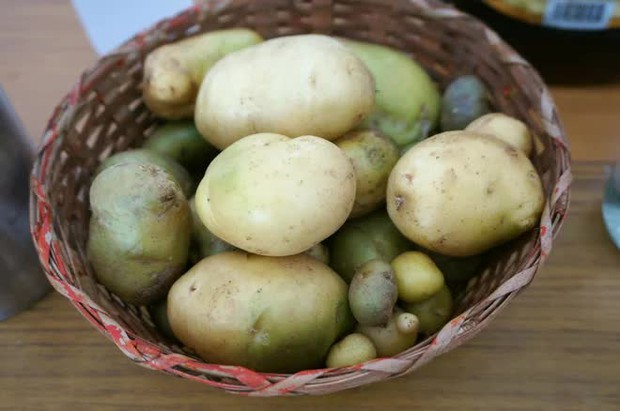 5 điều cấm kỵ khi bảo quản khoai tây khiến khoai nhanh hỏng, ăn vào thậm chí còn gây ung thư - Ảnh 2.