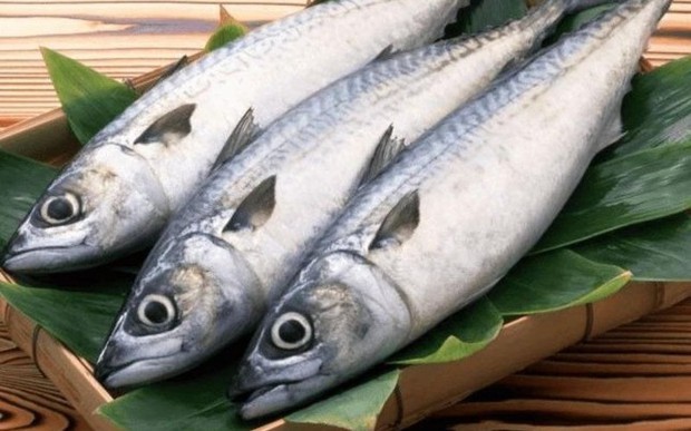 Đi chợ thấy những loại cá này nên mua ngay bởi cá ngọt thịt, ít xương lại giàu dinh dưỡng - Ảnh 5. Đi chợ thấy những loại cá này nên mua ngay bởi cá ngọt thịt, ít xương lại giàu dinh dưỡng - Ảnh 5.