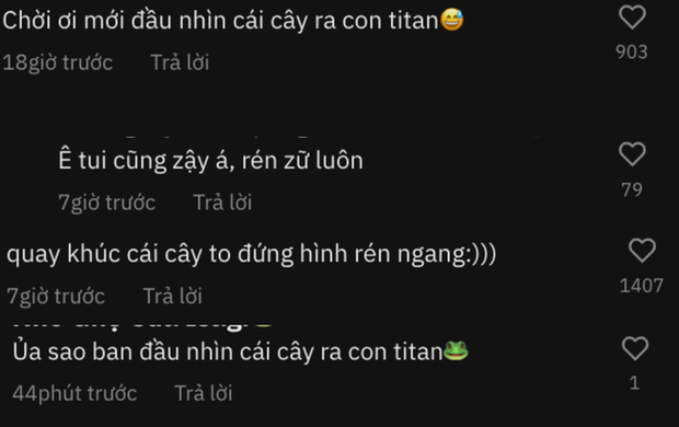 Cảnh tượng như phim viễn tưởng khi leo con đèo nổi tiếng tại Tây Nguyên, cứ tưởng đang lạc vào “xứ sở Titan” - Ảnh 4. Cảnh tượng như phim viễn tưởng khi leo con đèo nổi tiếng tại Tây Nguyên, cứ tưởng đang lạc vào “xứ sở Titan” - Ảnh 4.