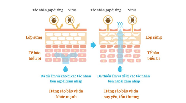 Sau tuổi 30, việc chị em nên làm để khôi phục, chăm sóc hàng rào bảo vệ da - Ảnh 2.