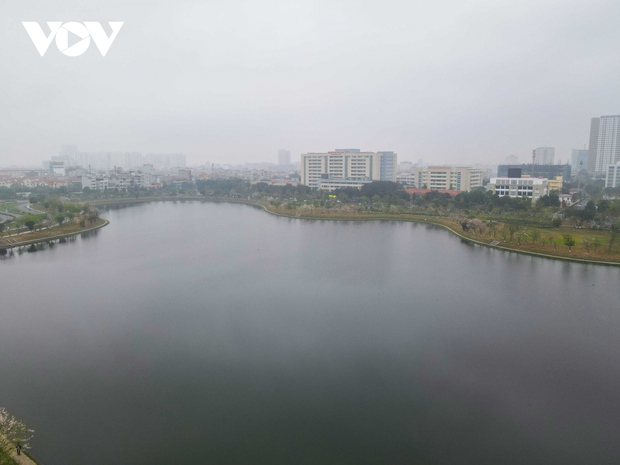 Ngắm rừng hoa đỗ mai hồng rực thu hút giới trẻ ở Bắc Ninh - Ảnh 9. Ngắm rừng hoa đỗ mai hồng rực thu hút giới trẻ ở Bắc Ninh - Ảnh 9.