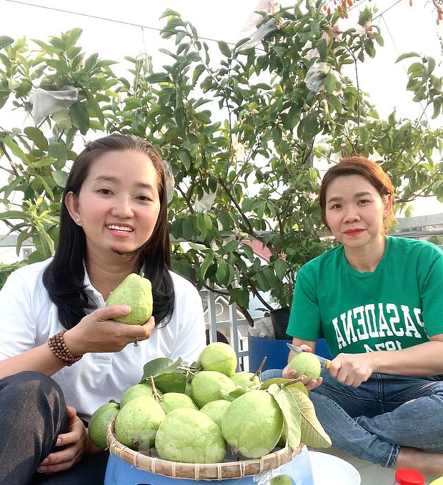 Vườn rau trái trĩu quả trên mái nhà của bà chủ 8X - Ảnh 5.