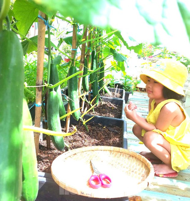 Vườn rau trái trĩu quả trên mái nhà của bà chủ 8X - Ảnh 4.