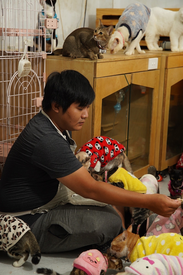 Đôi bạn trẻ dành hết số tiền cưới thành lập trạm cứu hộ mèo hoang ở Sài Gòn - Ảnh 5.
