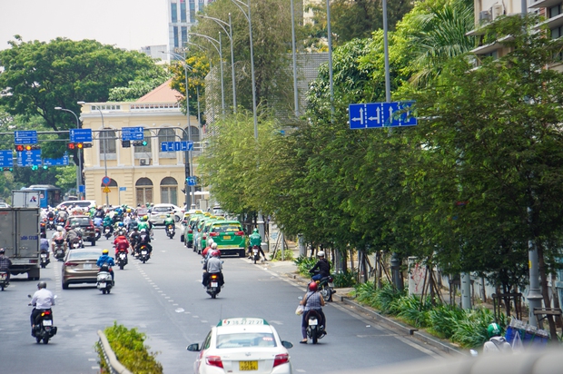 Ảnh: Những tuyến đường rợp bóng cây xanh, giúp TP.HCM giảm bớt nắng nóng gay gắt - Ảnh 8.